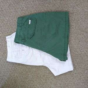 Bill Bass & Dress Barn shorts Lot of 2